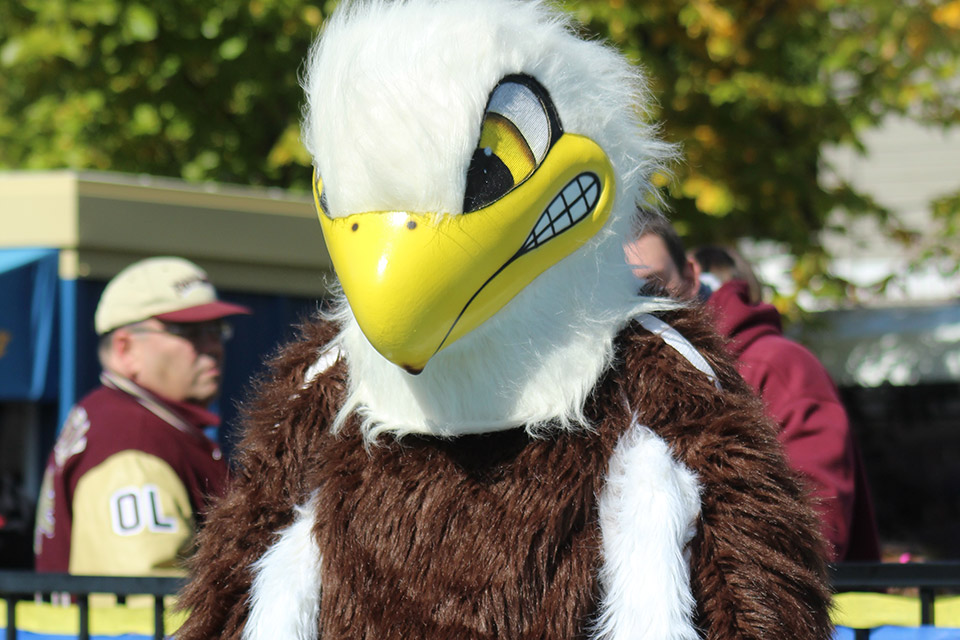 mascot1-content